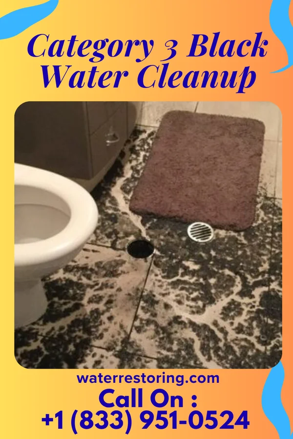 Category 3 Black Water Cleanup in Longview, TX